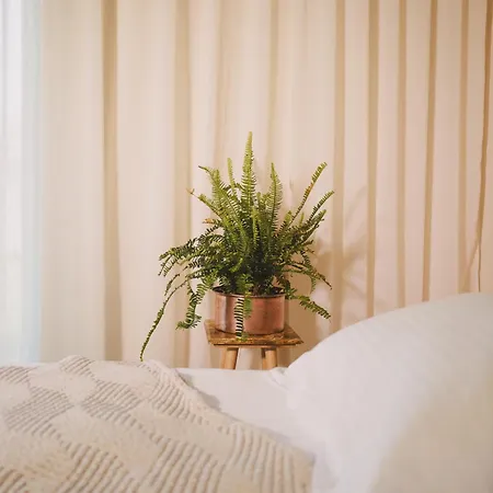 Ampeli 新阿尔塔基